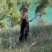 Laura Chaptal (@laurachaptal) Twitter profile photo Laura Chaptal (@laurachaptal) Twitter profile photo
