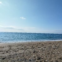 Saïd Mekki (@omar_benderra) 's Twitter Profile