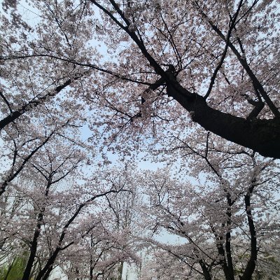 똘