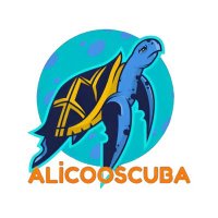 Alicozn (@alicodesidore) 's Twitter Profile