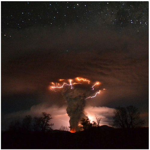 HA_is_out's profile picture. 