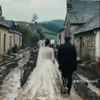 Sưu tầm mọi nguồn (@shareclipdao) 's Twitter Profile