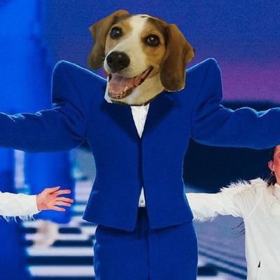 el perro atómicoさんのプロフィール画像