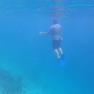 CarlBrandt1495's profile picture. De novo...