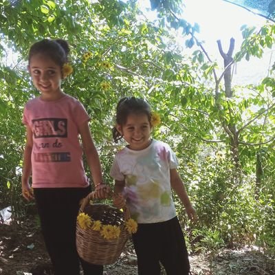 Muratboz53Murat's profile picture. 