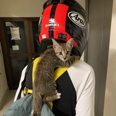 4uWHty5slP3Pz3f's profile picture. 