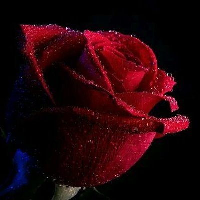 DKalay's profile picture. .A blogger, Finance advisor, Stock strategists, and Friendly Mentor. Hi I'm Snaket, i am a bank teller with