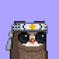 stevie harker (@stevieharker) 's Twitter Profile
