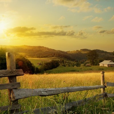 SailJazzy's profile picture. 