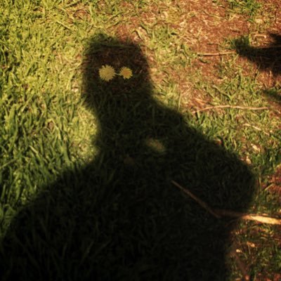 Van0ne's profile picture. Interface designer / Photographer enthusiast / Concept creator 47.948477,37.528801