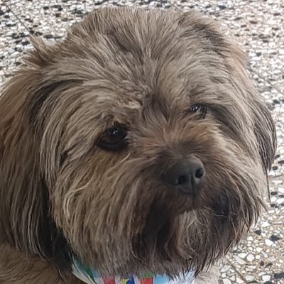 adidead's profile picture. Curious case