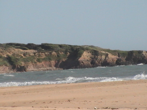 vaness2541's profile picture. 