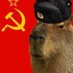 Capibara Chaira (@capibarachaira) Twitter profile photo Capibara Chaira (@capibarachaira) Twitter profile photo