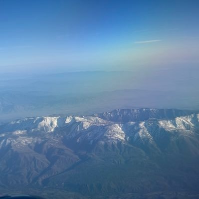 blayneymorgan's profile picture. 