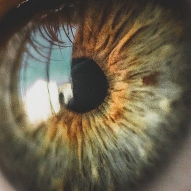 wolfsblick74's profile picture. Leben, lieben und einfach nur sein. Ich liebe #mufc #Rugby #eishocky #natur #Wald #Linux #berge und achte auf #bewegung #psychologie und nutze gern #dao dazu