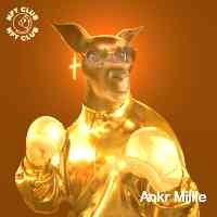 mii_llieannkr's profile picture. Nft & watch collector | eth sol | web3 marketing 📊