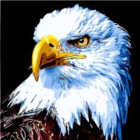 Jerry B Good🦅#Trzaskowski2025 (@jerrybgood4) 's Twitter Profile