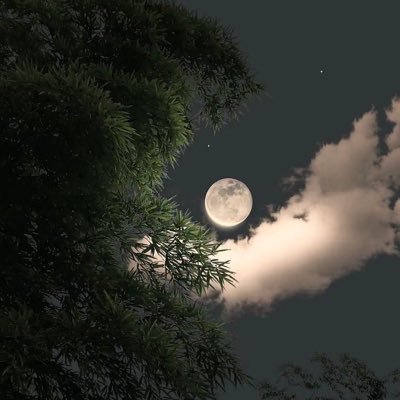 Salem_Almalky's profile picture. Physicist & more -لا إله إلا الله وحـده لا شـريك له, له الـملك وله الحـمد, وهـو على كل شـيء قـدير..