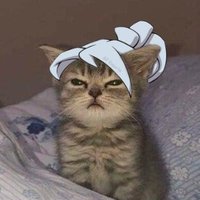 Envii (@tzenvii) 's Twitter Profile