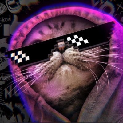 tngwizhng4's profile picture. 