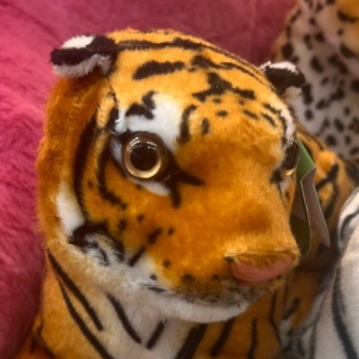 acosmiclover's profile picture. pra falar merda SÓ pros fieis