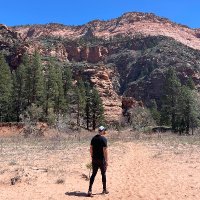 Rami Alhamad (@ramimatic) 's Twitter Profile