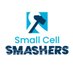 SmallCellSMASHERS (@SclcSMASHERS) Twitter profile photo