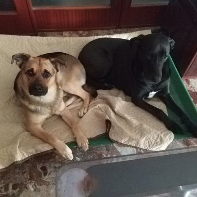 supernovaboy82's profile picture. 