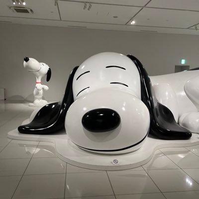 MoMOs50445418's profile picture. 🇨🇦在住 Web デザイン勉強記録 2024/06~本始動