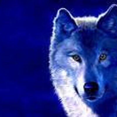 sotnikau's profile image