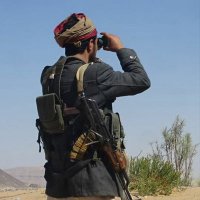 Ali Ali (@aliali02437131) 's Twitter Profile