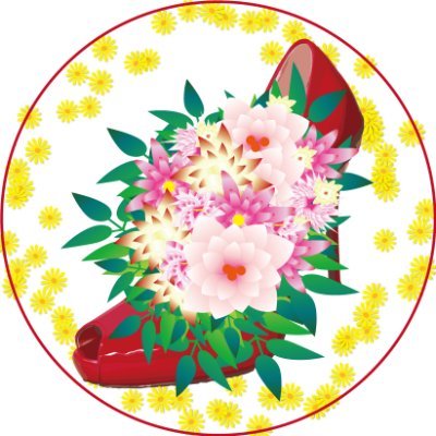 かめぽさんのプロフィール画像
