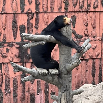 フォロバ100 動物好き.FX自動売買やってます。フォロワー500突破!ありがとございます m(_ _)m次は1000目指します!皆様ぜひフォローよろしくお願い致します( ̄▽ ̄)フォロバ来なかったらDMください!