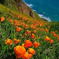 Irene3n2 (@irenem3n2) 's Twitter Profile