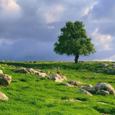 من عاد إلي الله عادت إليه نفسه..🌱
—————————————-