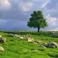 إني أخاف الله .🌱 (@aiaa203040) 's Twitter Profile Photo إني أخاف الله .🌱 (@aiaa203040) 's Twitter Profile Photo