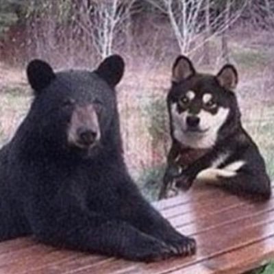 aangel_ily's profile picture. I trust my life 100%.