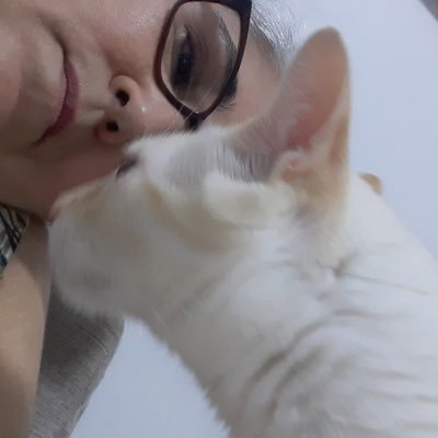 Creio em Deus Pai, Filho e Espírito Santo! Jesus, eu confio em Vós!