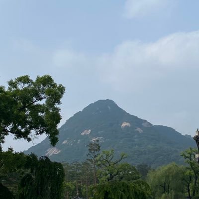 sirindude's profile picture. The stuff only found in comets and trace amounts in blueberries.
Regret is the feeling that lingers the longest.