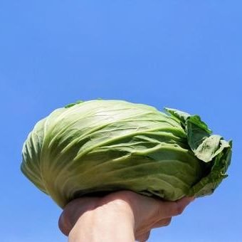 GAKI_p's profile picture. 食べ物の栄養、効果を論理に基づいて、分かりやすく紹介！
より詳しい知識をこちらで紹介しています！
https://t.co/jvME6MU7hR