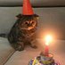 Tweets Of Cats (@tweetsofcats) Twitter profile photo Tweets Of Cats (@tweetsofcats) Twitter profile photo