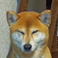 ㊤里予日月 (@akijzx100) 's Twitter Profile Photo ㊤里予日月 (@akijzx100) 's Twitter Profile Photo