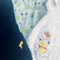 ぽむ (@gachapikachu) 's Twitter Profile Photo ぽむ (@gachapikachu) 's Twitter Profile Photo