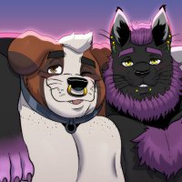 Chase the sealnard (@sealnard) 's Twitter Profile
