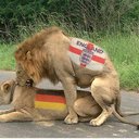 marcus chambers - @ChambersMarcus - Twitter