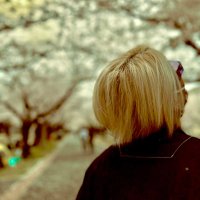 makitaku (@makitakum) 's Twitter Profile