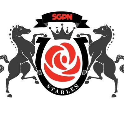@photofinishgame stable owned by @scott_bowser and @KramerCentric. PFL Jockey Club Executive S29 Virtual Kentucky Derby winner 🌹🐎🌹$CROWN