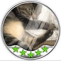 wyk.hl (@wyknft) 's Twitter Profile