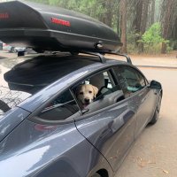 Pixie FSD/Acc (@pixieawdboosted) 's Twitter Profile Photo