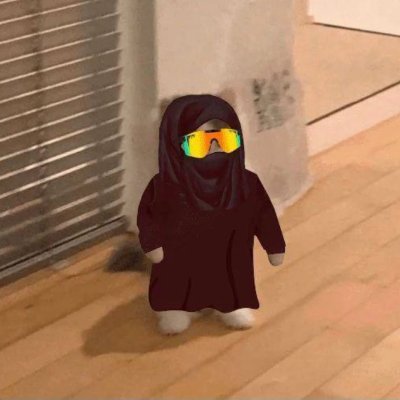 degentans's profile picture. Tans for shorts 
Team make it happen, crypto or nothing.
@monad gonna shock the world.